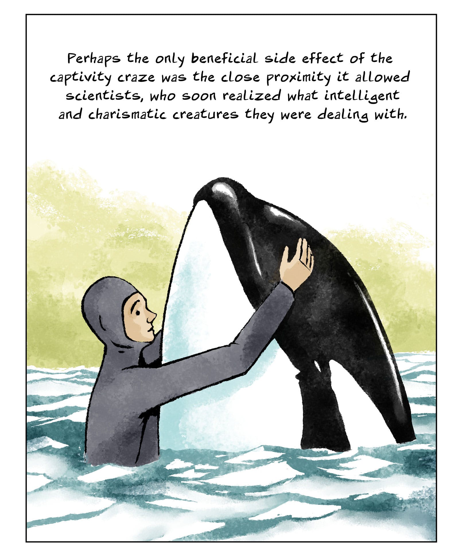 Killer whale comic