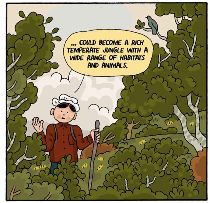 Rewilding Cartoon Back to the Land | The Nib