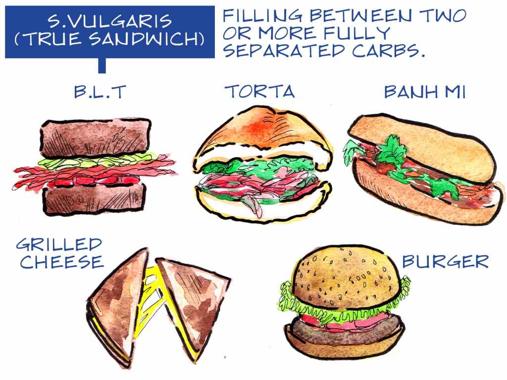 The Definitive Sandwich Family Tree The Nib