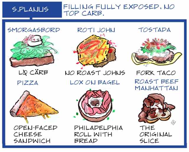 the-definitive-sandwich-family