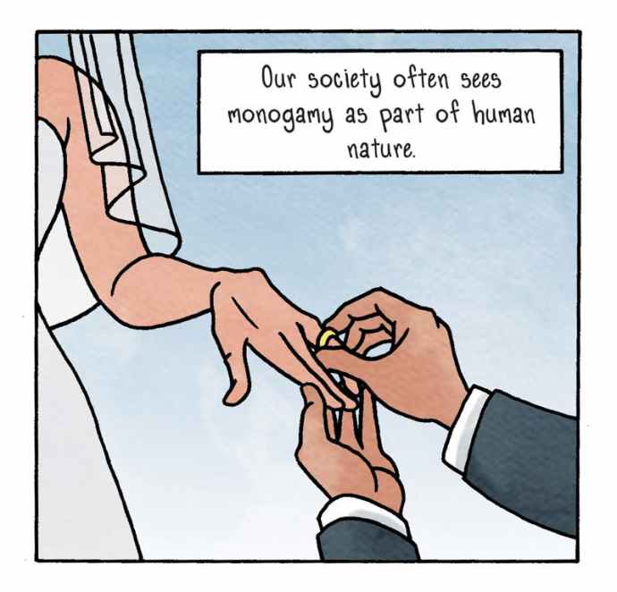 The Invention of Monogamy The Nib