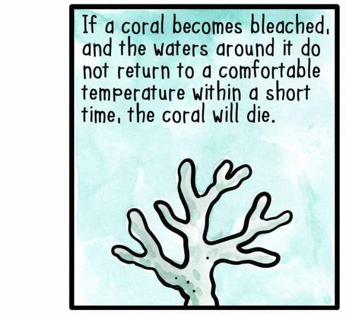 Why is the great barrier reef dying the nib
