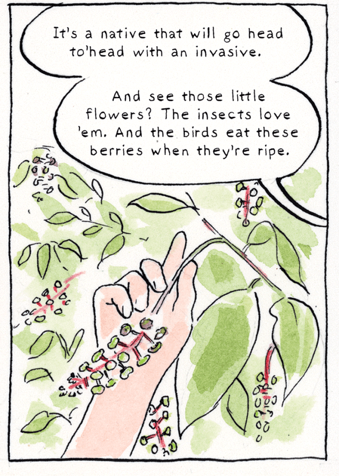 Invaders | The Nib