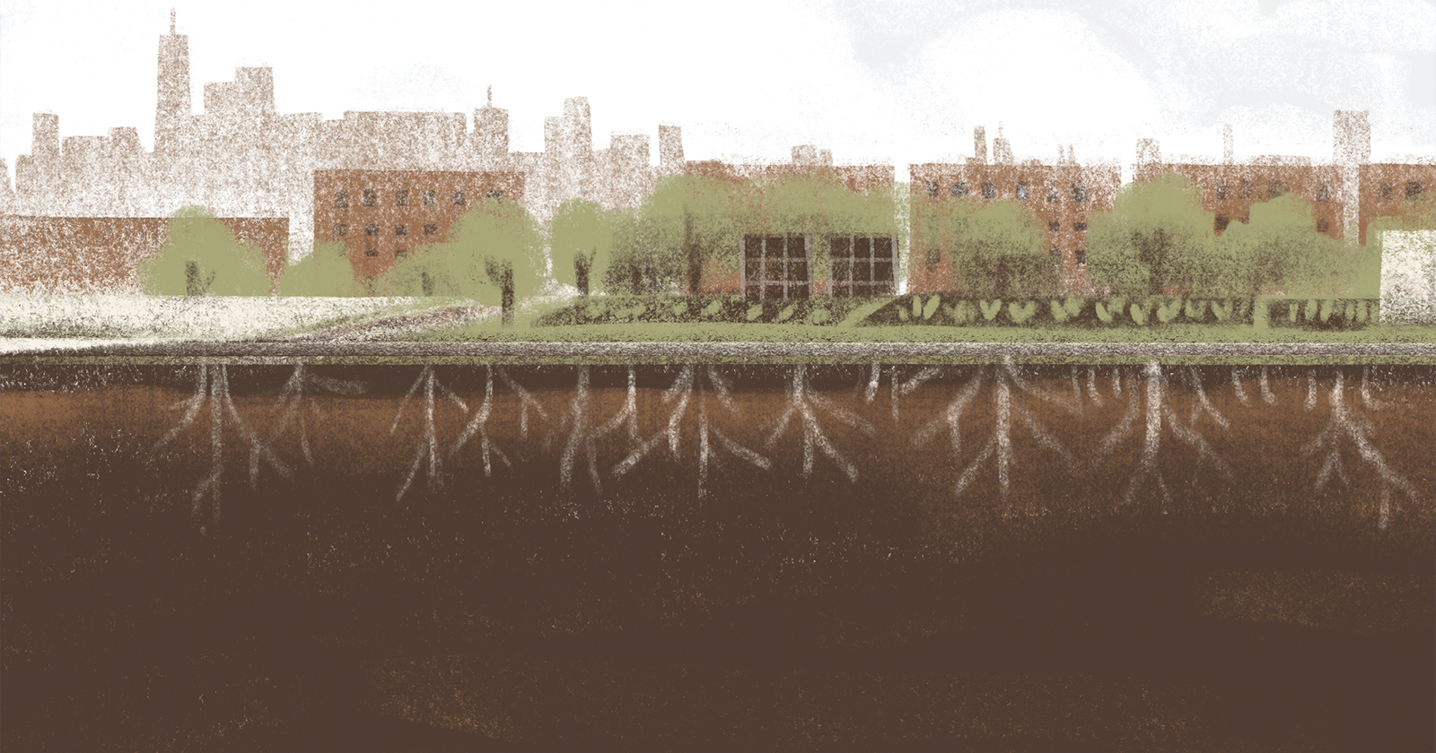 Living Soil | The Nib